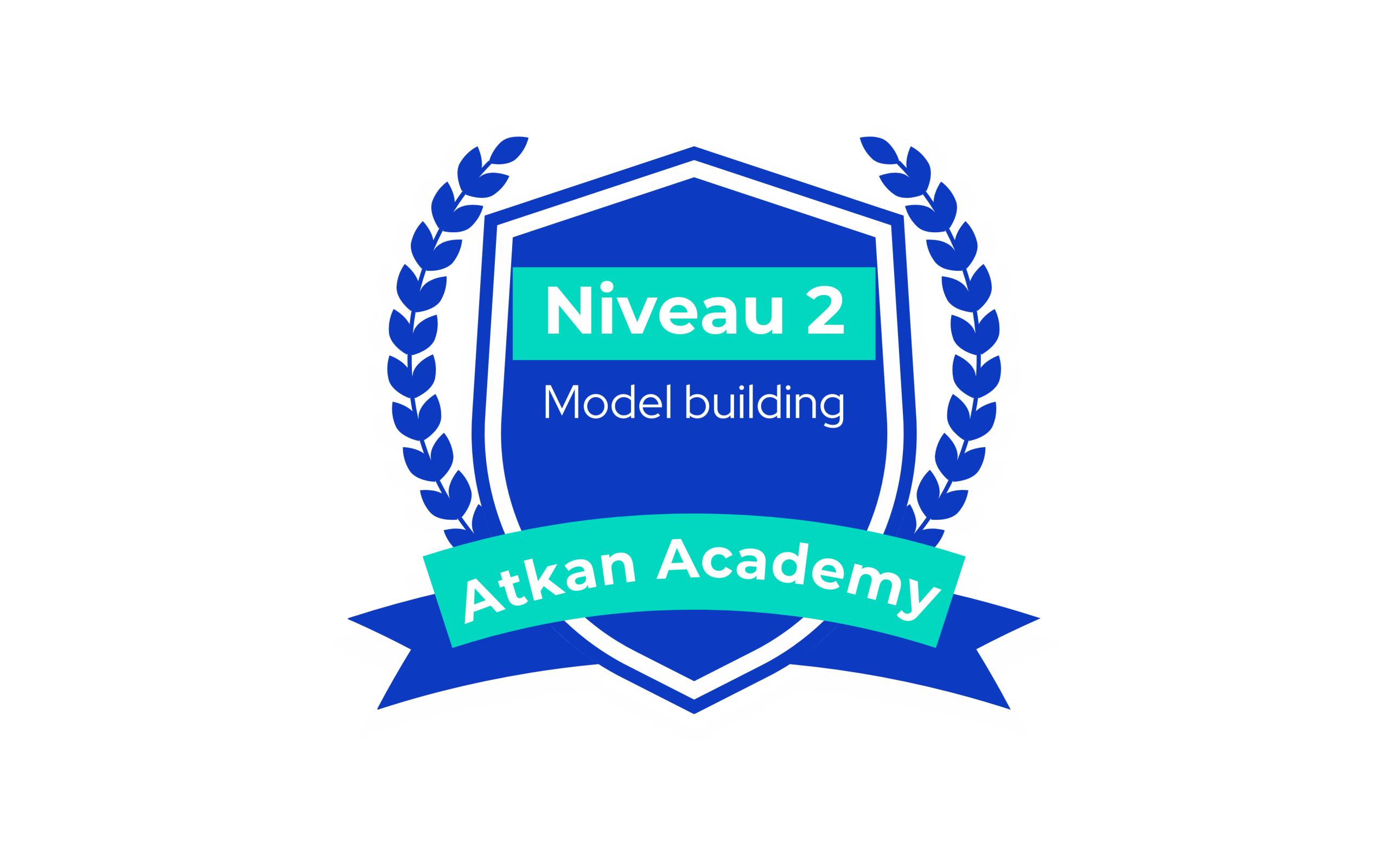 4 Formation Anaplan niveau 2