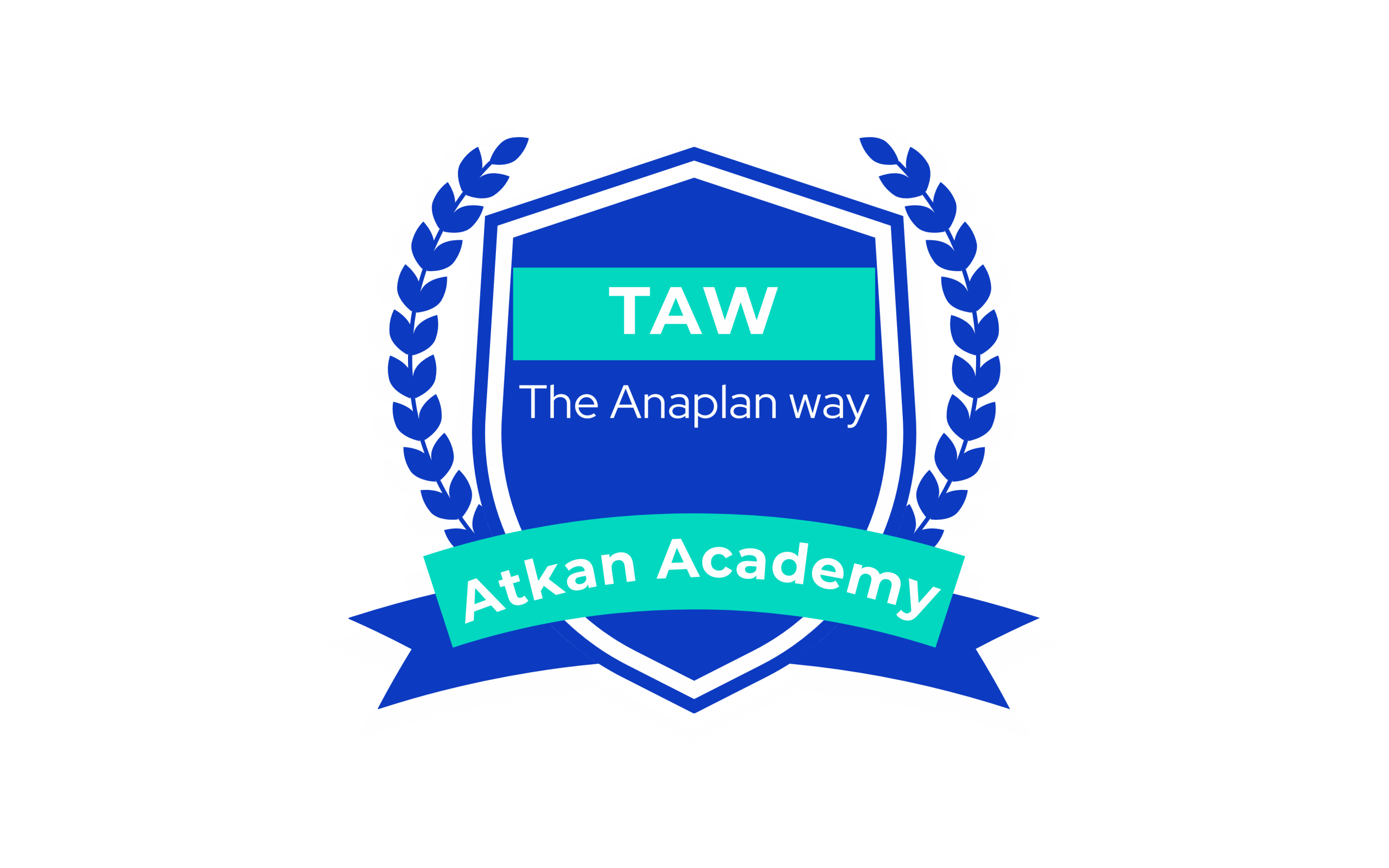5 Formation The Anaplan Way